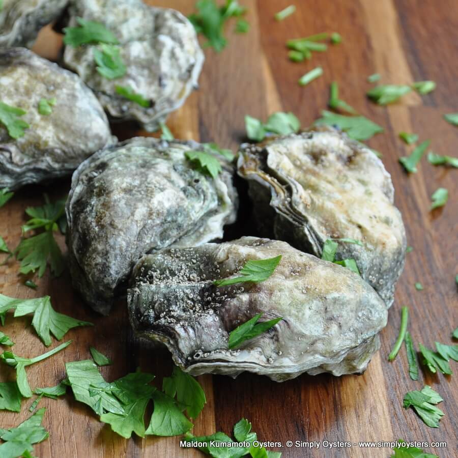 Maldon Kumamoto Oysters Buy Online UK Delivery Simply Oysters